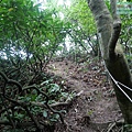 P1103802.jpg