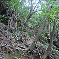 P1103801.jpg