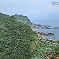 P1103805-1.jpg
