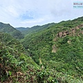 P1103805-2.jpg