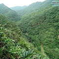 P1103804.jpg