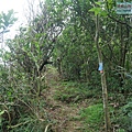 P1103806.jpg
