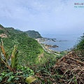 P1103807.jpg