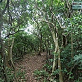 P1103809.jpg
