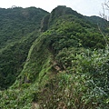 P1103811.jpg