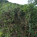 P1103812.jpg