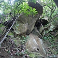 P1103813.jpg