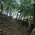 P1103816.jpg