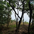 P1103817.jpg