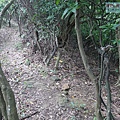 P1103820.jpg