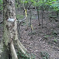 P1103823.jpg