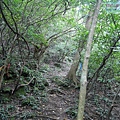 P1103822.jpg