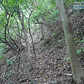 P1103825.jpg