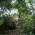 P1103826.jpg