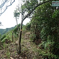 P1103829.jpg