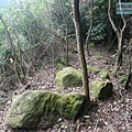 P1103832.jpg