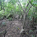 P1103833.jpg