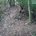P1103834.jpg