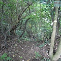 P1103835.jpg
