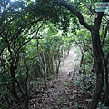 P1103837.jpg