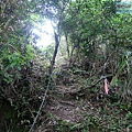 P1103836.jpg