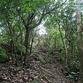P1103839.jpg