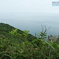 P1103840.jpg