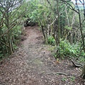P1103841.jpg