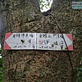 P1103843.jpg
