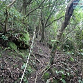 P1103845.jpg