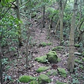 P1103844.jpg
