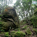 P1103846.jpg