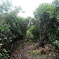 P1103847.jpg