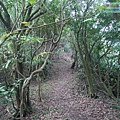 P1103848.jpg