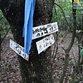 P1103849.jpg