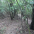 P1103852.jpg