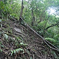 P1103855.jpg