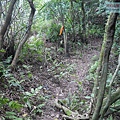 P1103854.jpg