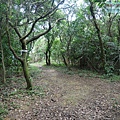 P1103857.jpg