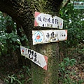 P1103858.jpg