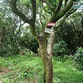P1103859-1.jpg