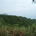 P1103860.jpg