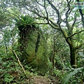 P1103863.jpg