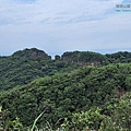 P1103864.jpg