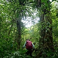 P1107004.jpg