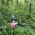 P1107006.jpg