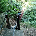 P1109252-1.jpg
