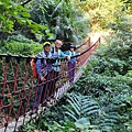 P1109252-3.jpg