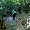 P1109253.jpg