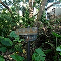 P1109256.jpg